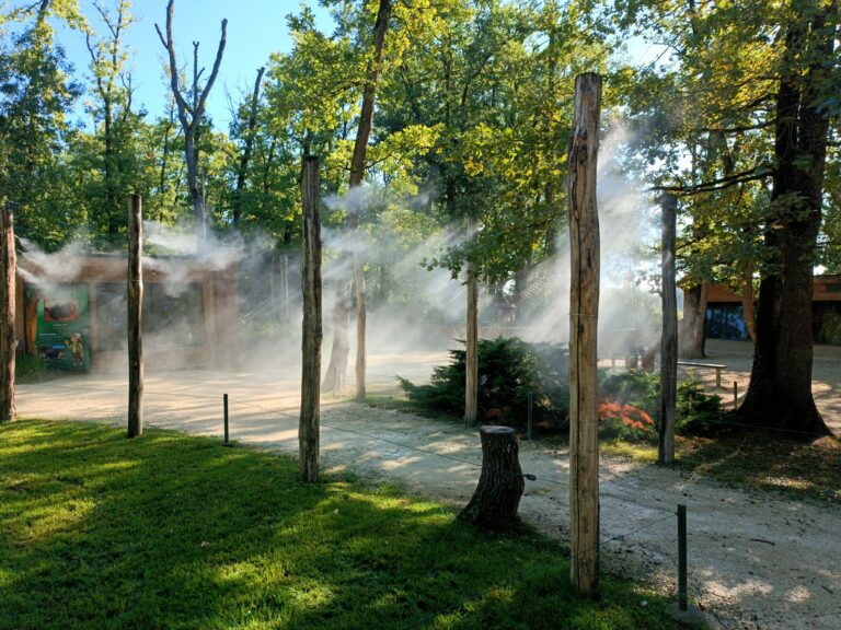 Brumisation parc