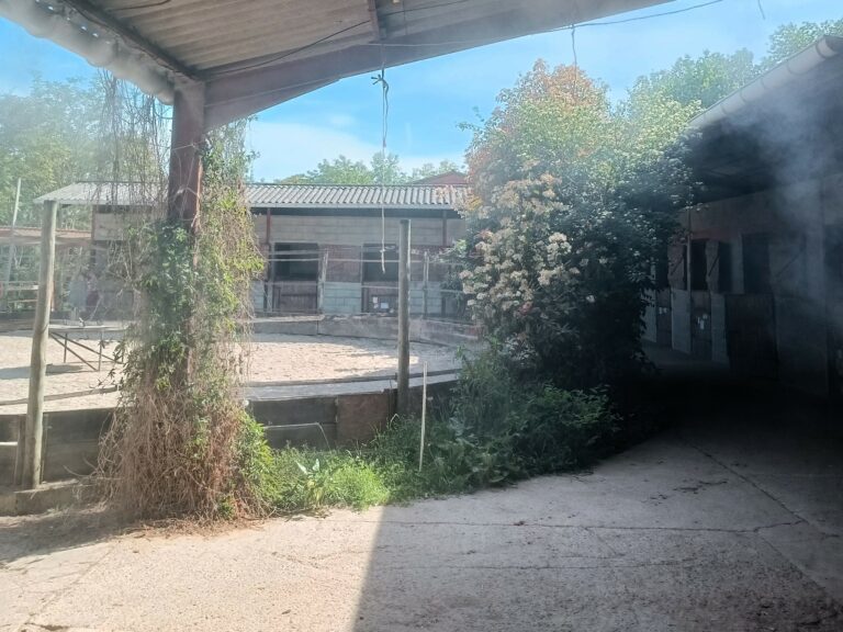 Domaine Équestre de Lauzerte